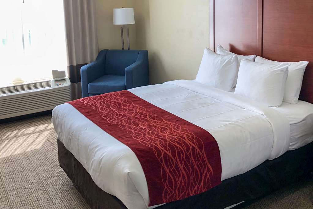 Comfort Inn & Suites Nashville Franklin Cool Springs Номер фото